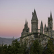 Flight of the Hippogriff rising above the treeline at The Wizarding World of Harry Potter.